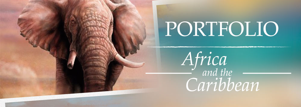 Africa and the Caribbean Portfolio